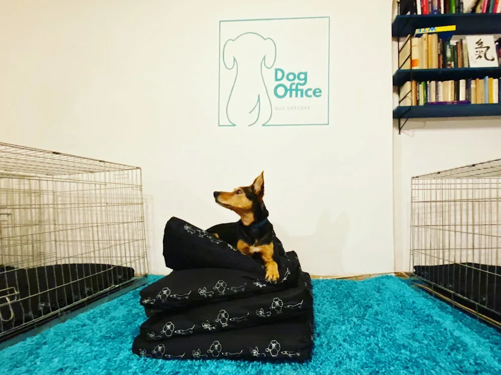 DogOffice kutyapanzió és kutyanapközi - Budapest pet otel görseli 11