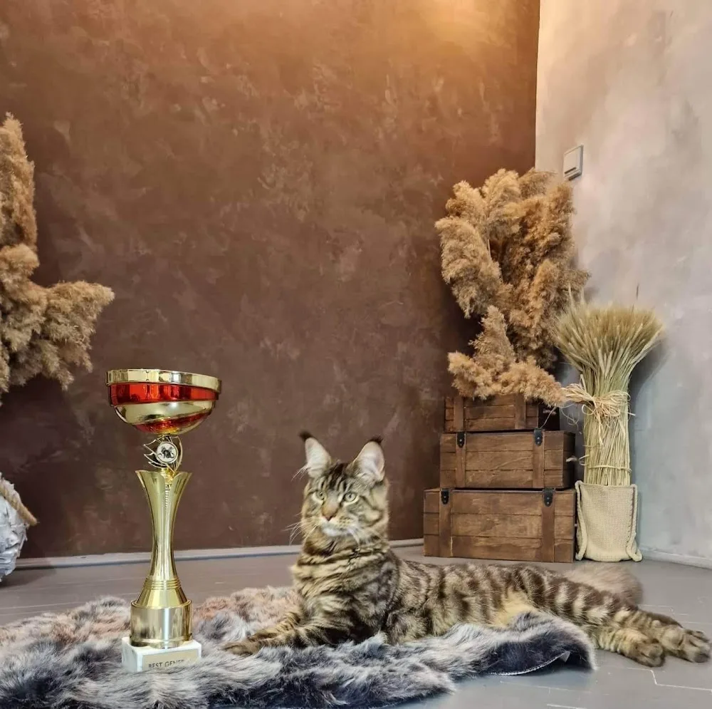 Erzsébet Kincse Kennel - Budapest pet otel görseli 10