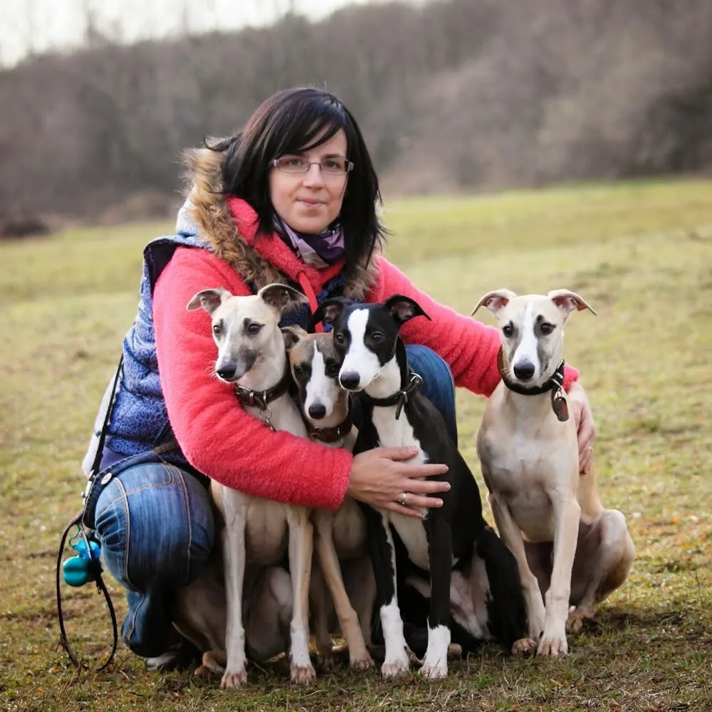 Hungarian Kennel Association Alliance - Budapest pet otel görseli 5
