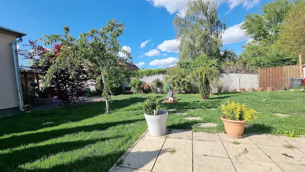 Királyerdei-Bársony Kennel és Kutyakozmetika - Budapest pet otel görseli 6