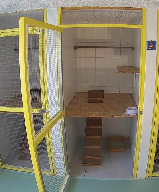 Mikka-Makka cicapanzió - Budapest pet otel