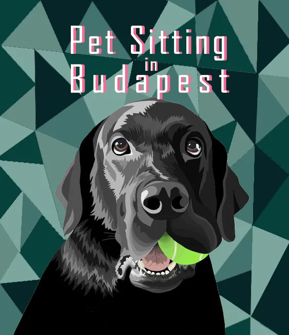 Pet Sitting Budapest - Budapest pet otel