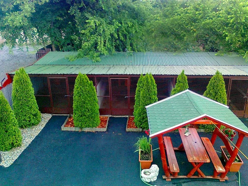 Repülőtéri cica- és kutyapanzió - Budapest pet otel görseli 6
