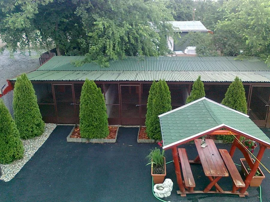 Repülőtéri cica- és kutyapanzió - Budapest pet otel görseli 7