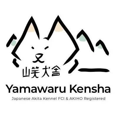 Yamawaru Kensha - Japán akita Kennel - Budapest pet otel