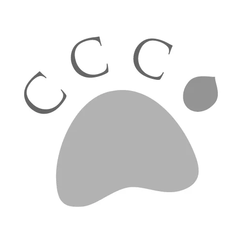 Canine Country Club - Bude pet otel görseli 3