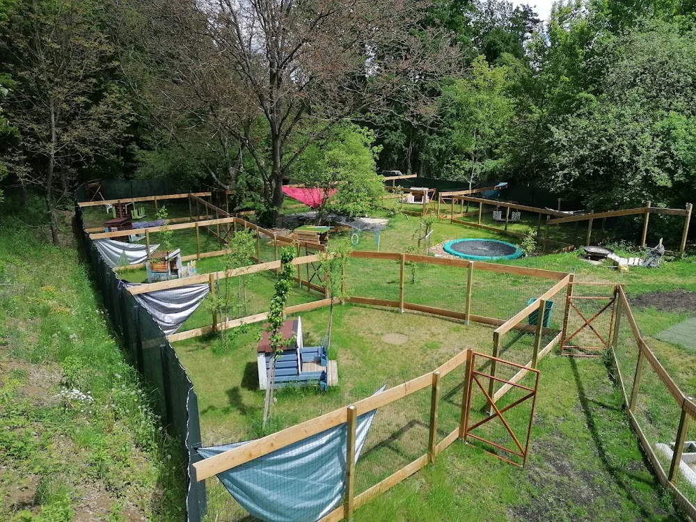 Dogs Lodge Hundepension Tatjana Antensteiner Burgenland - Burgenland pet otel görseli 2