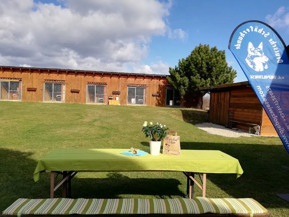 Hundepension Diepolzwiese - Burgenland pet otel görseli 18