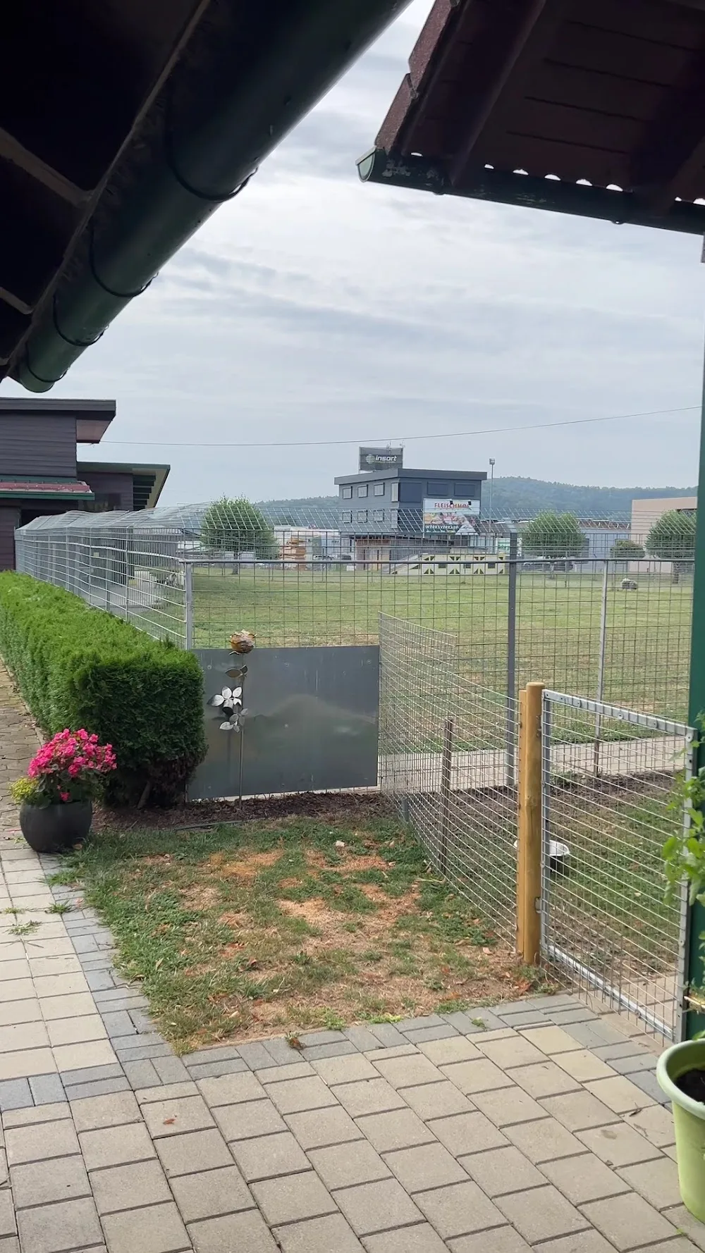 Hundepension Scheer - Burgenland pet otel görseli 14
