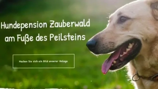 Hundepension Zauberwald - Burgenland pet otel görseli 14