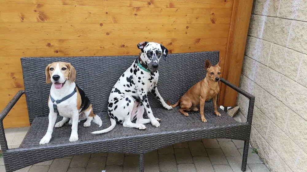 Sandra's Schnuffelnasenparadies - Burgenland pet otel görseli 2