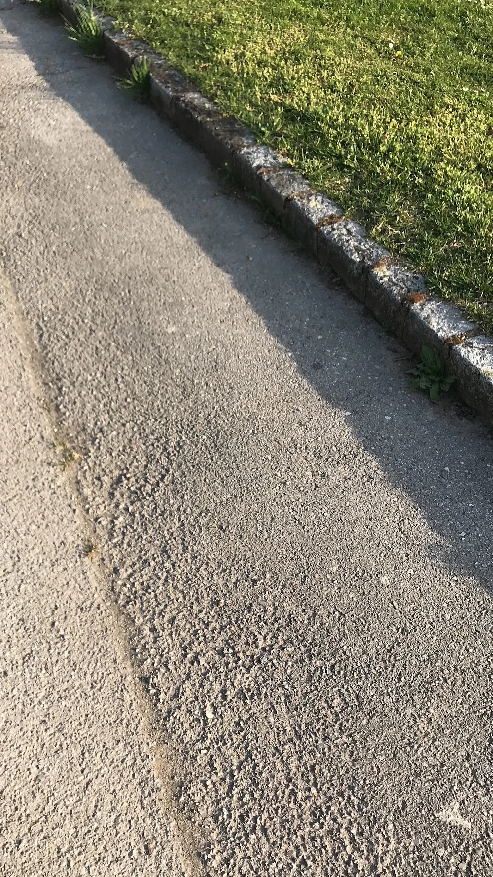 Tierheim Haus der Barmherzigkeit für herrenlose Tiere - Burgenland pet otel görseli 3