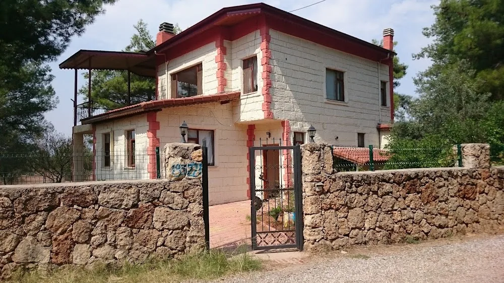 BURSA KÖPEK ÇİFTLİĞİ - Kalkan pet otel görseli 2