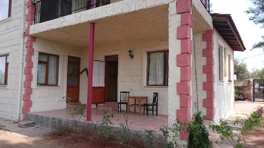BURSA KÖPEK ÇİFTLİĞİ - Kalkan pet otel görseli 3