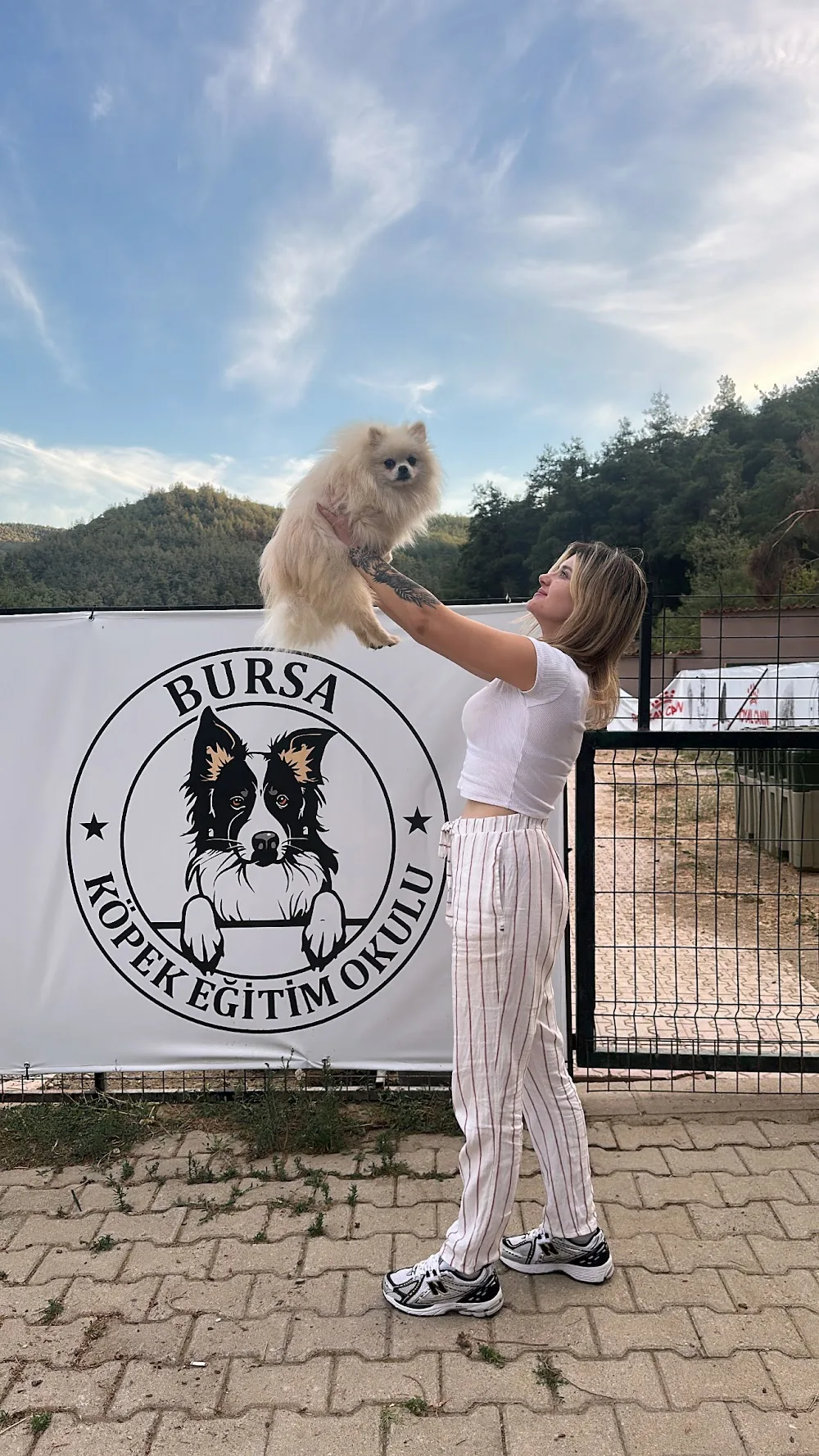 Bursa Köpek Eğitim Okulu ve Köpek Oteli - Bursa pet otel