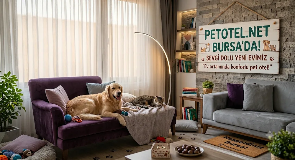 Bursa Pet Otel - Bursa pet otel görseli 2