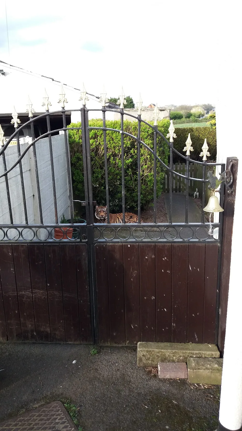 Appycats cattery - Burton-on-Trent pet otel