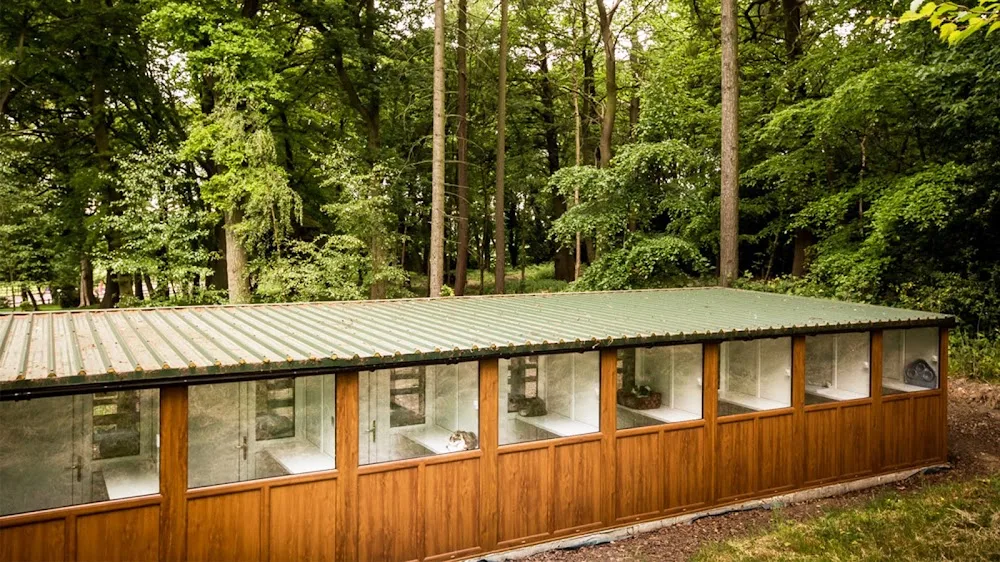 Brankley Cattery 5* Luxury Cat Boarding and Lodgings - Burton-on-Trent pet otel