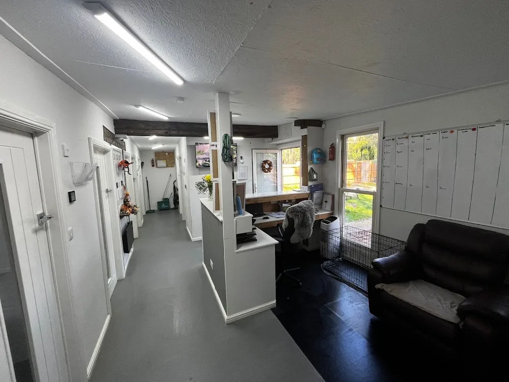 Dudley's Canine Retreat - Burton-on-Trent pet otel görseli 3