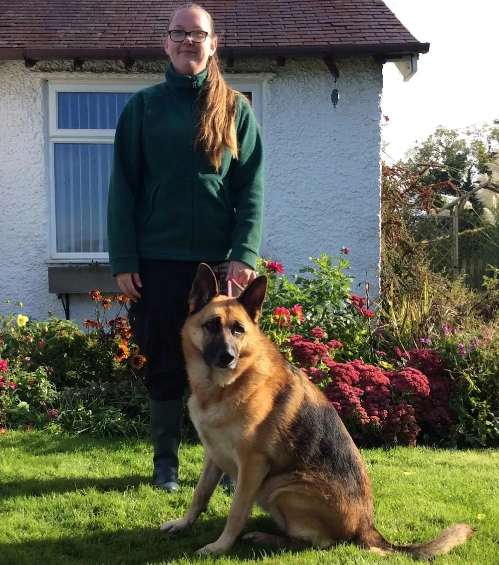 Longcroft Boarding Kennels & Cattery Ltd - Burton-on-Trent pet otel görseli 3