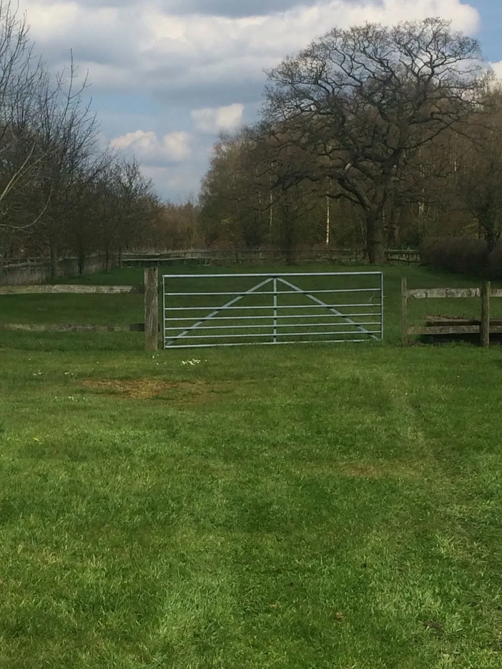 Westmead Kennels & Cattery - Burton-on-Trent pet otel görseli 3