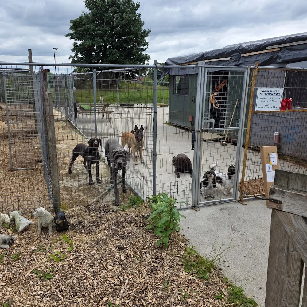 Hareshill Boarding Kennels - Bury pet otel görseli 3