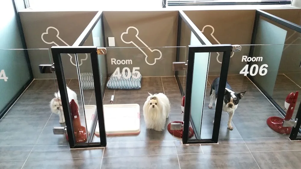 달봉이 PETHOTEL - Busan pet otel