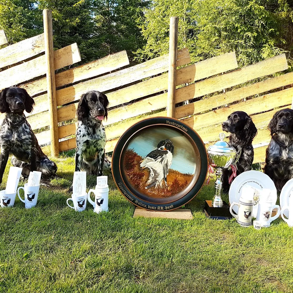 Kennel Grandes Vorachyres - Buskerud pet otel görseli 3