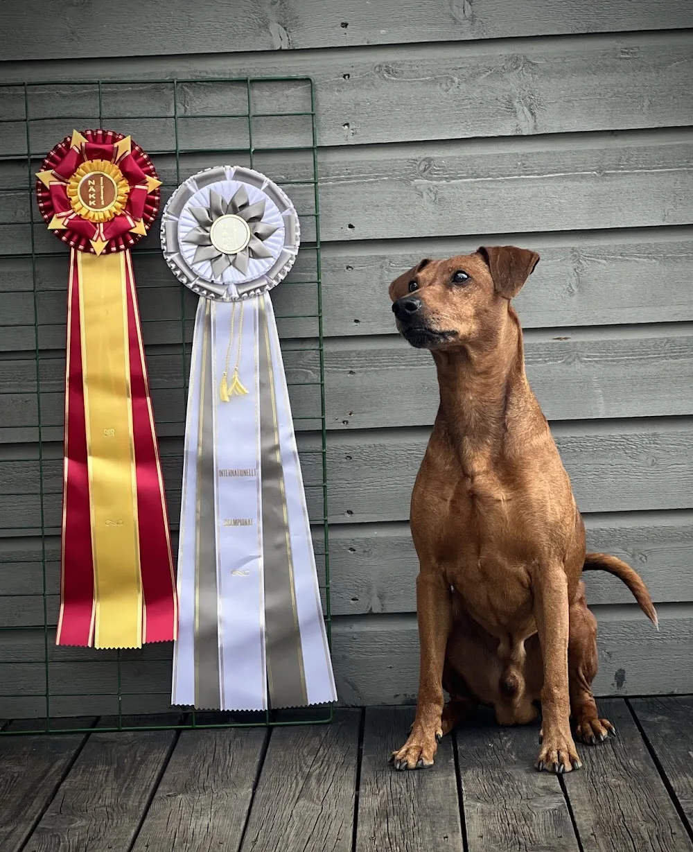 Kennel Whiquila - Buskerud pet otel