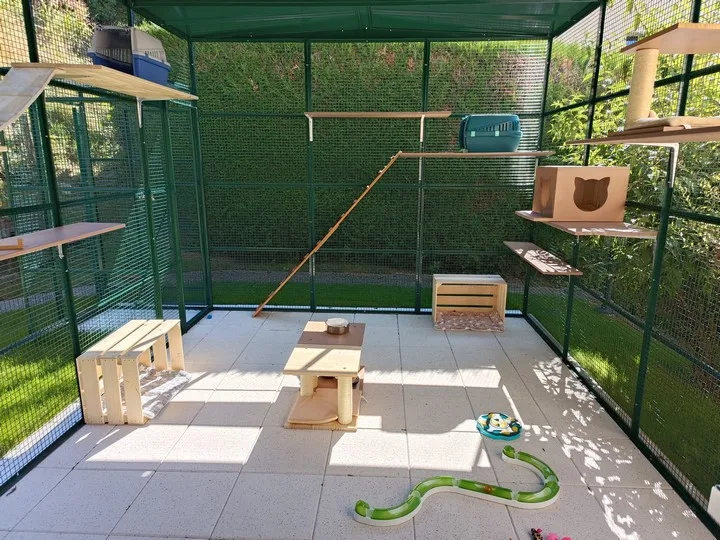 Artemis & CO - Hôtel et pension pour chats, cat-sitting et pet-sitting - Bussigny pet otel
