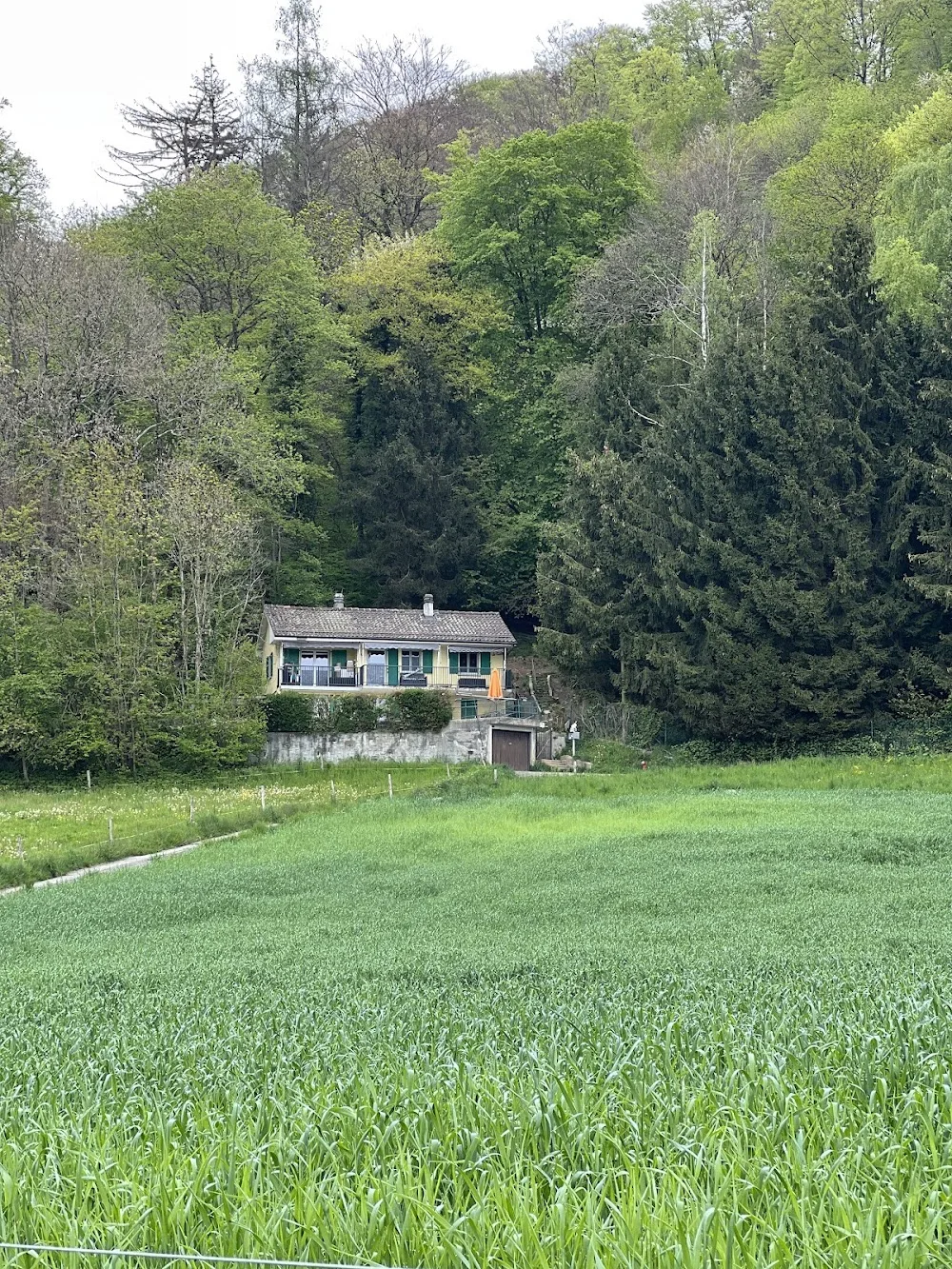 Bien Dans Ses Papattes - Bussigny pet otel görseli 3