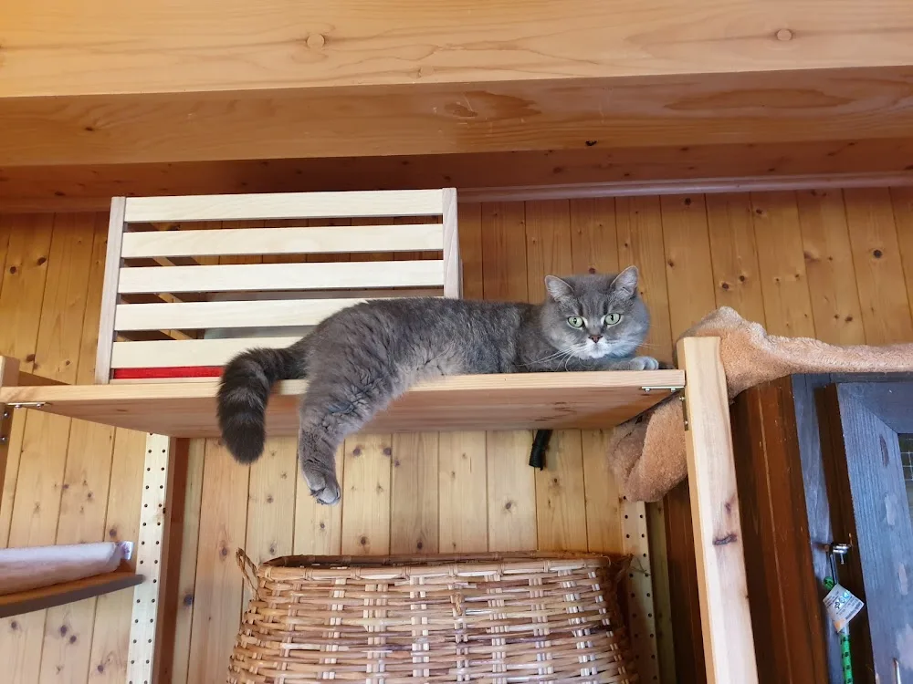 Chatterie De La Colline - Bussigny pet otel