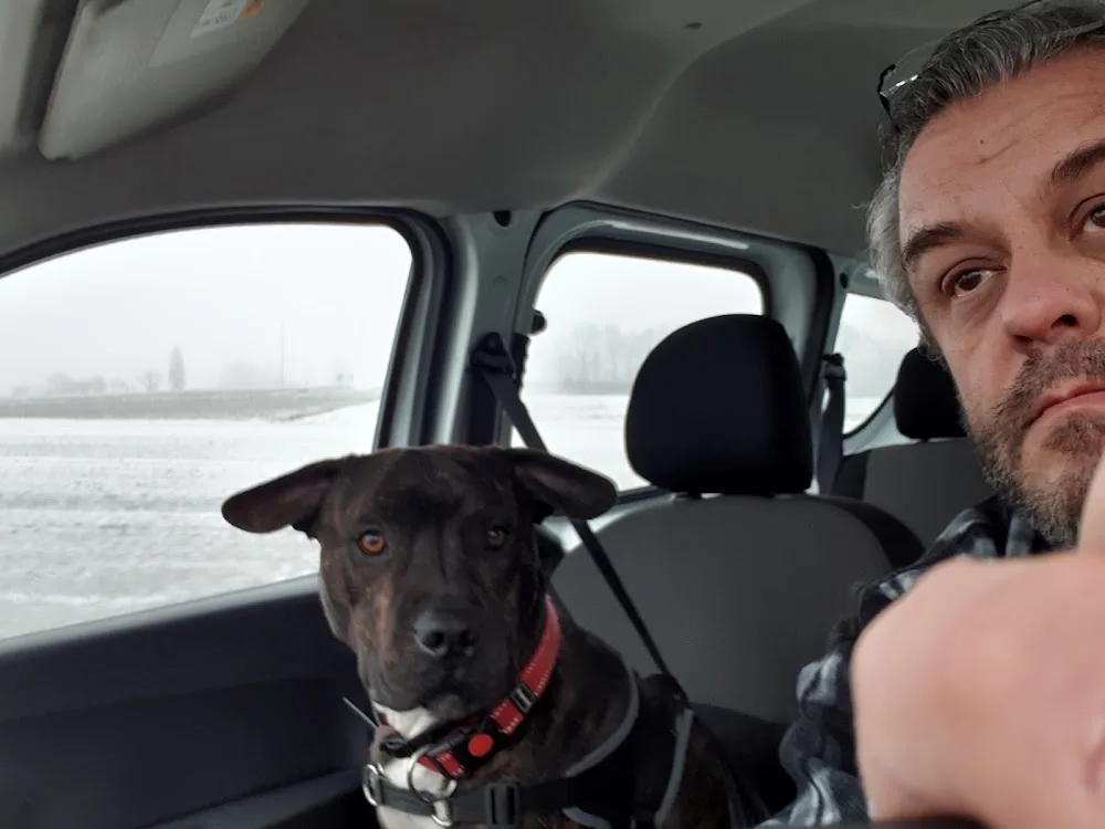 Dog's Academy - Bussigny pet otel