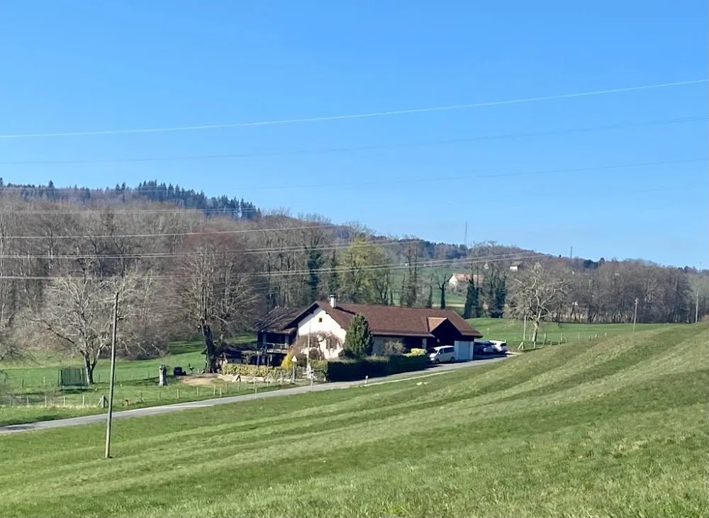 La Dolce Vita, Pension pour chiens - Bussigny pet otel görseli 3