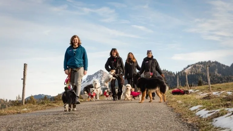 Oh Dog - Bussigny pet otel