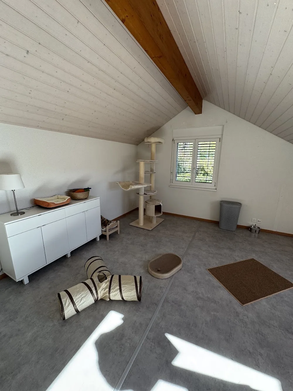 Pension Paka - Bussigny pet otel