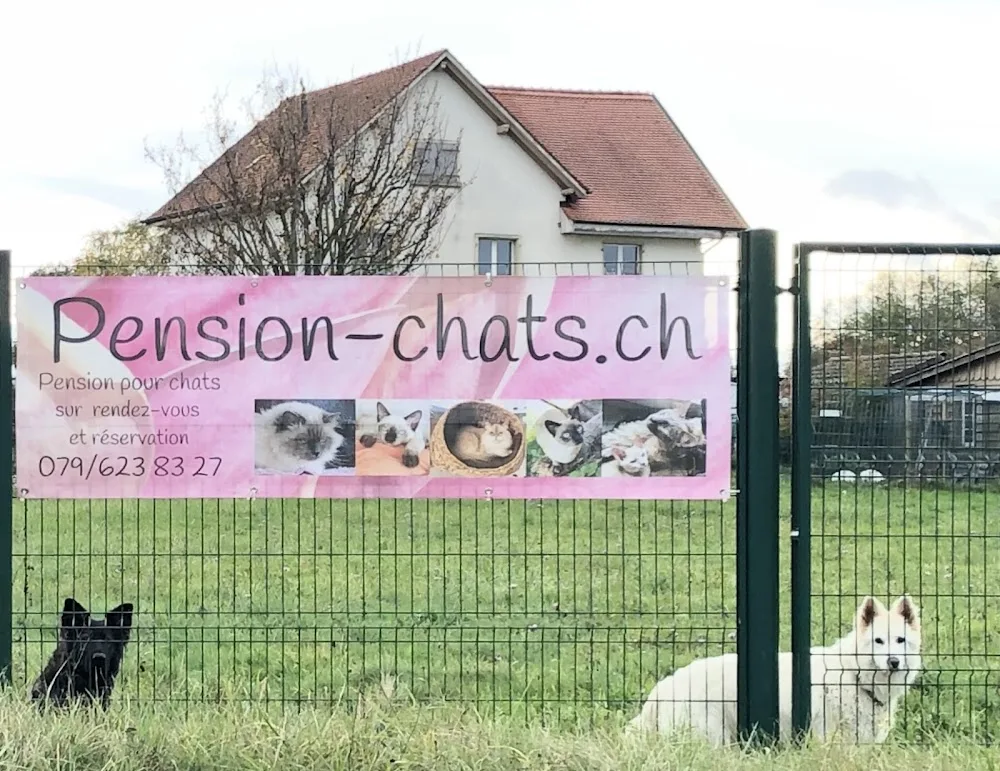 Pension pour Chats, Elevage de Tonkinois, Chatterie Cémafaune - Bussigny pet otel