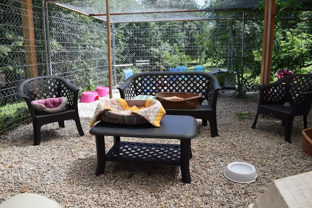 Pension pour chats : Les Aristos - Bussigny pet otel