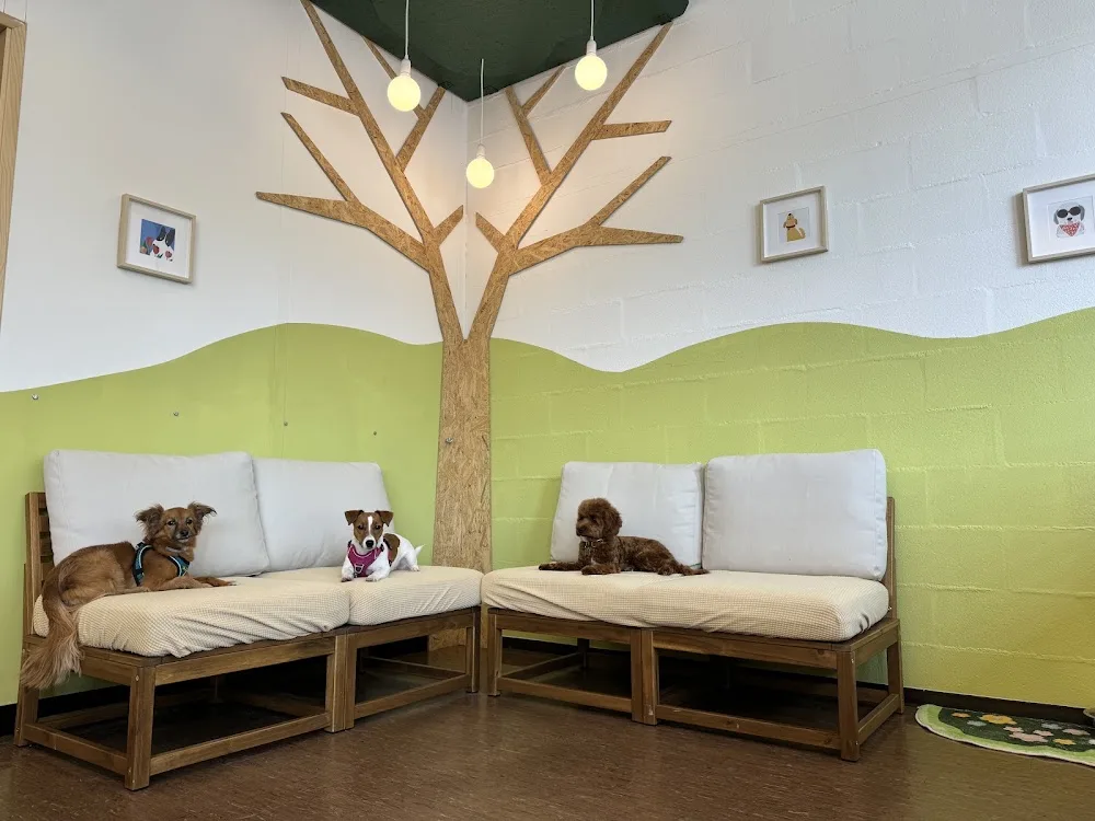 Woofy: Pension Hôtel-Garderie pour Chien - Bussigny pet otel