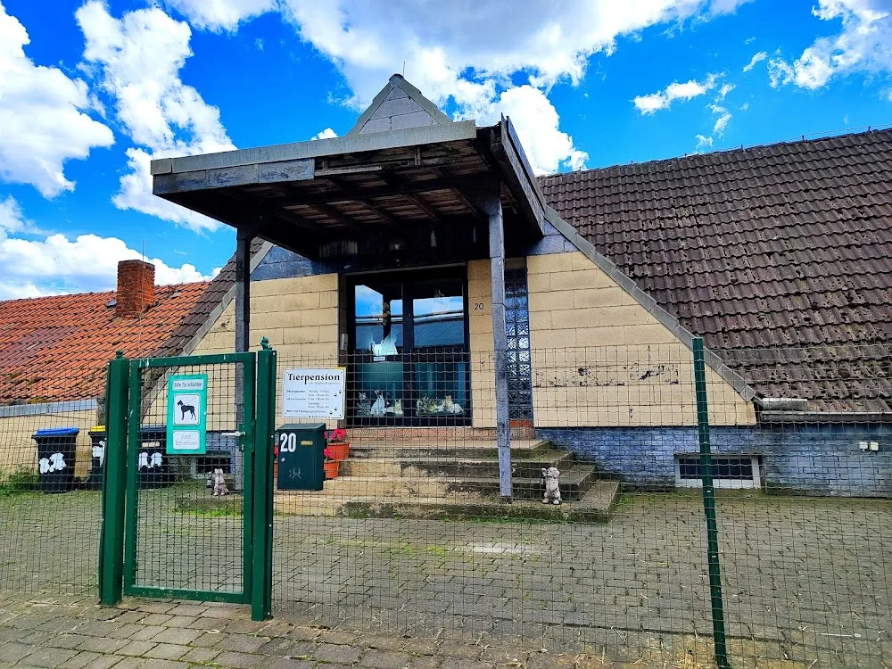 Cat-Dog-Ranch - Buttstädt pet otel görseli 3