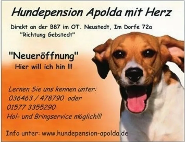 Hundepension Apolda - Buttstädt pet otel