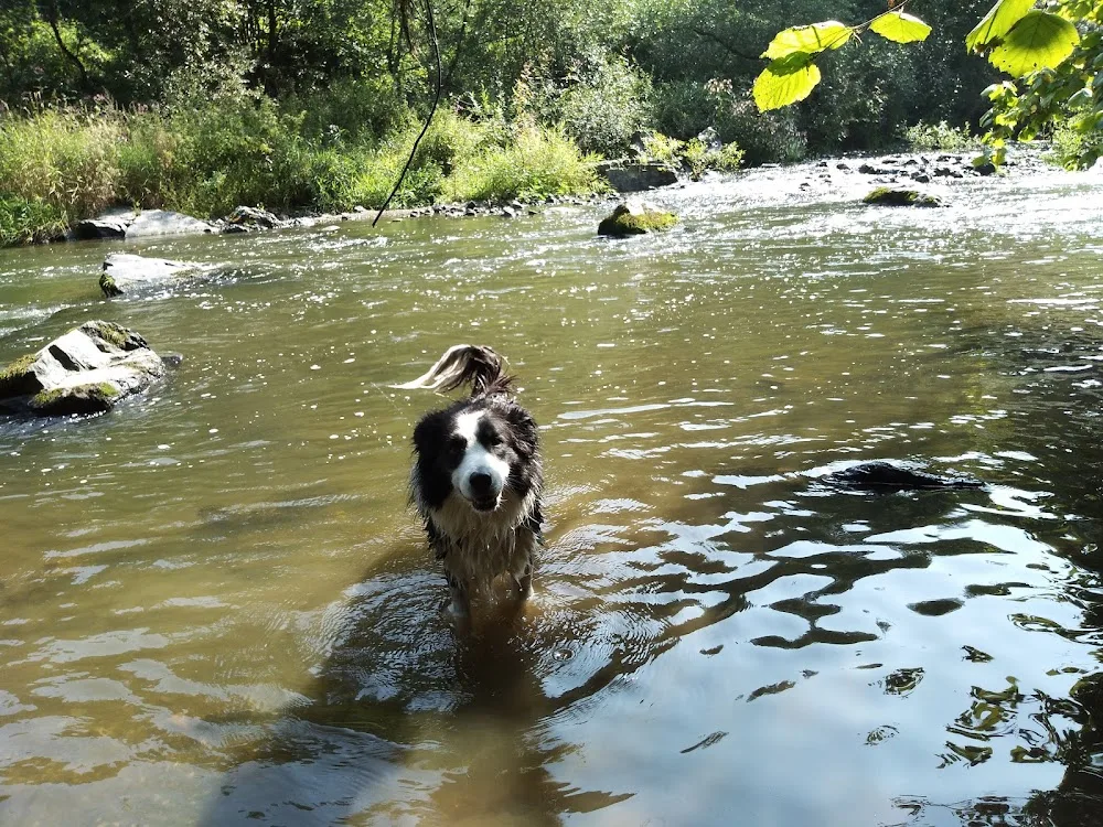 Hundepension Johanna Klaus - Buttstädt pet otel