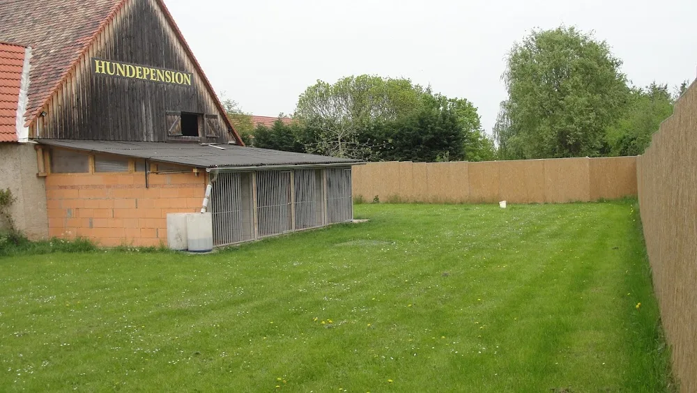 Hundepension Wersdorf - Buttstädt pet otel görseli 10
