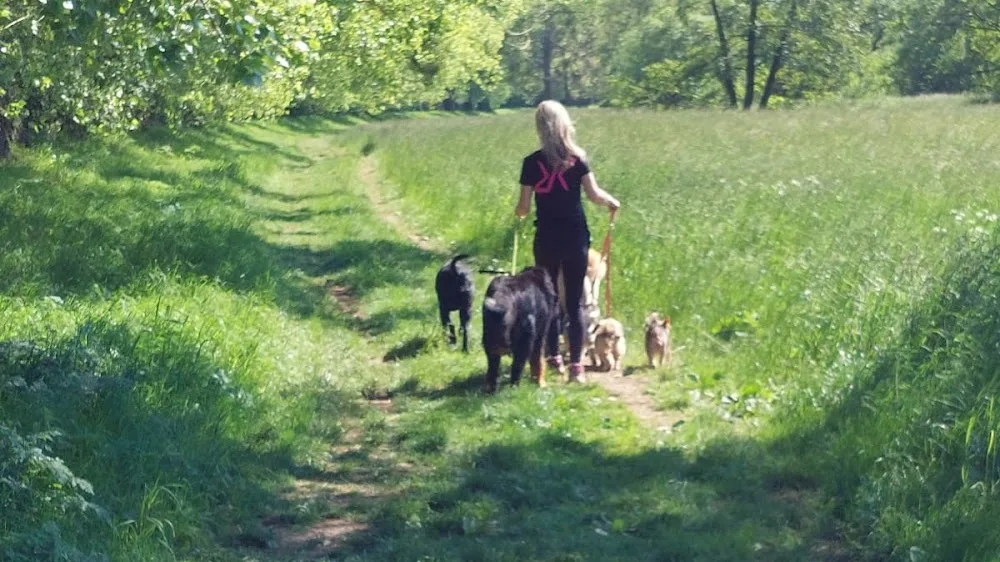 Hundesalon, Hundehotel und Katzenpension Hundezentrum Susann Urban - Buttstädt pet otel