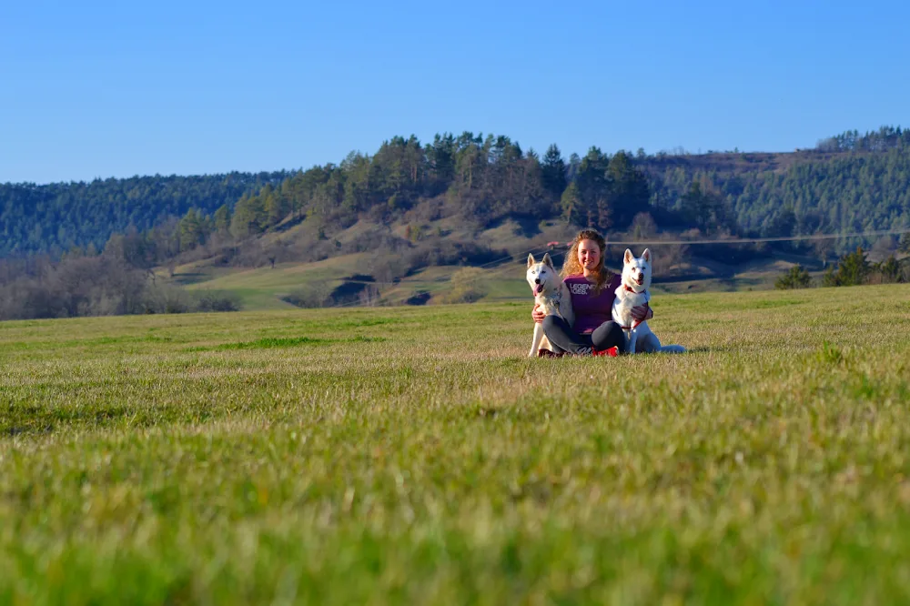 hundum Hundeschule / Hundepension - Buttstädt pet otel