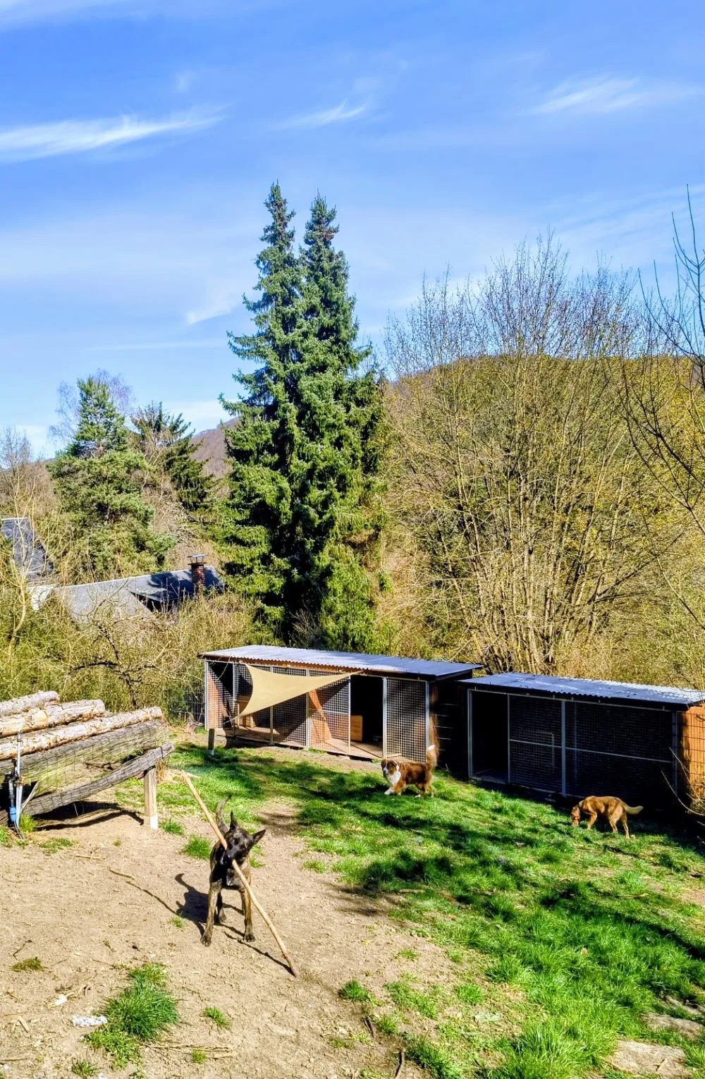 Jena West - Buttstädt pet otel görseli 7