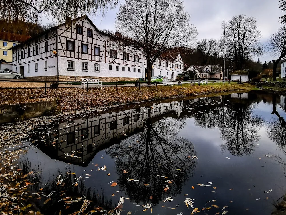 KATZEN LANDHOTEL | DÖBRITZ - Buttstädt pet otel görseli 4