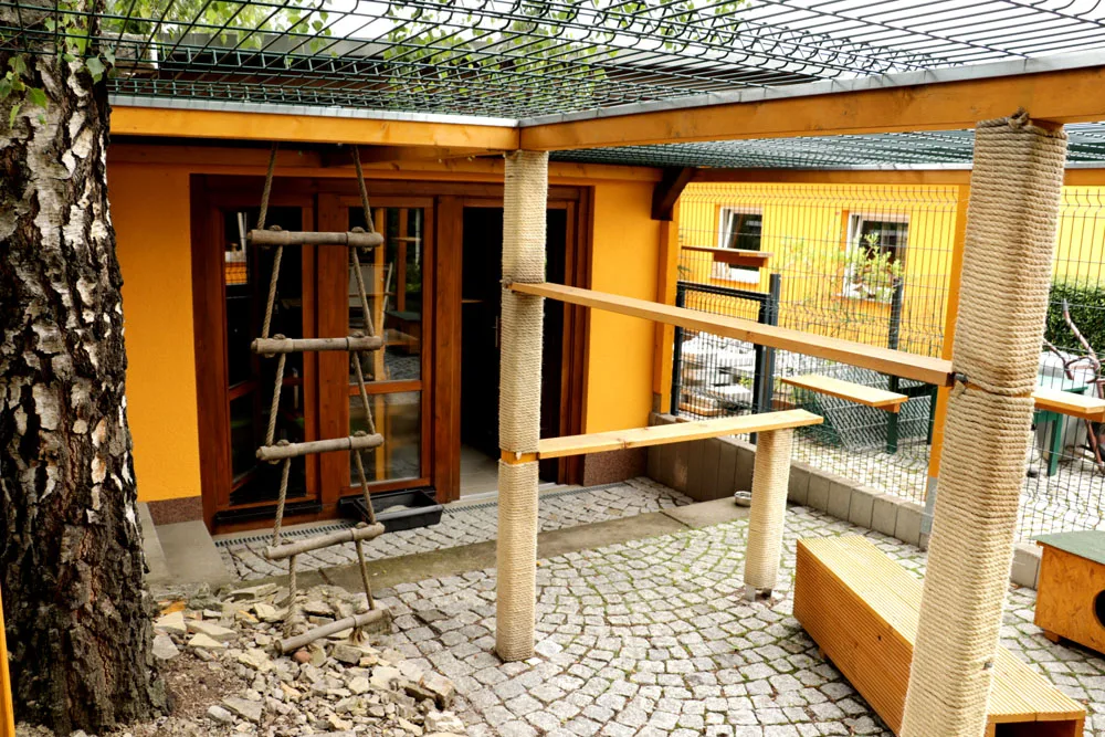 Katzenpension Montag - Buttstädt pet otel görseli 7