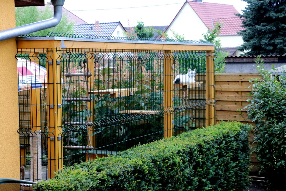 Katzenpension Montag - Buttstädt pet otel görseli 10