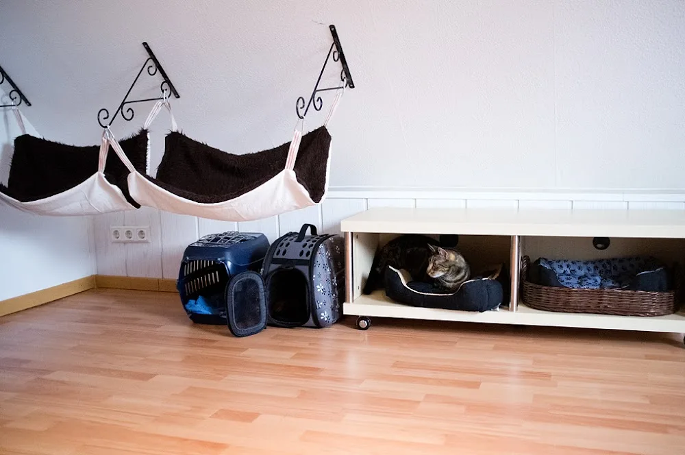 Katzenpension Unbehaun - Buttstädt pet otel görseli 3